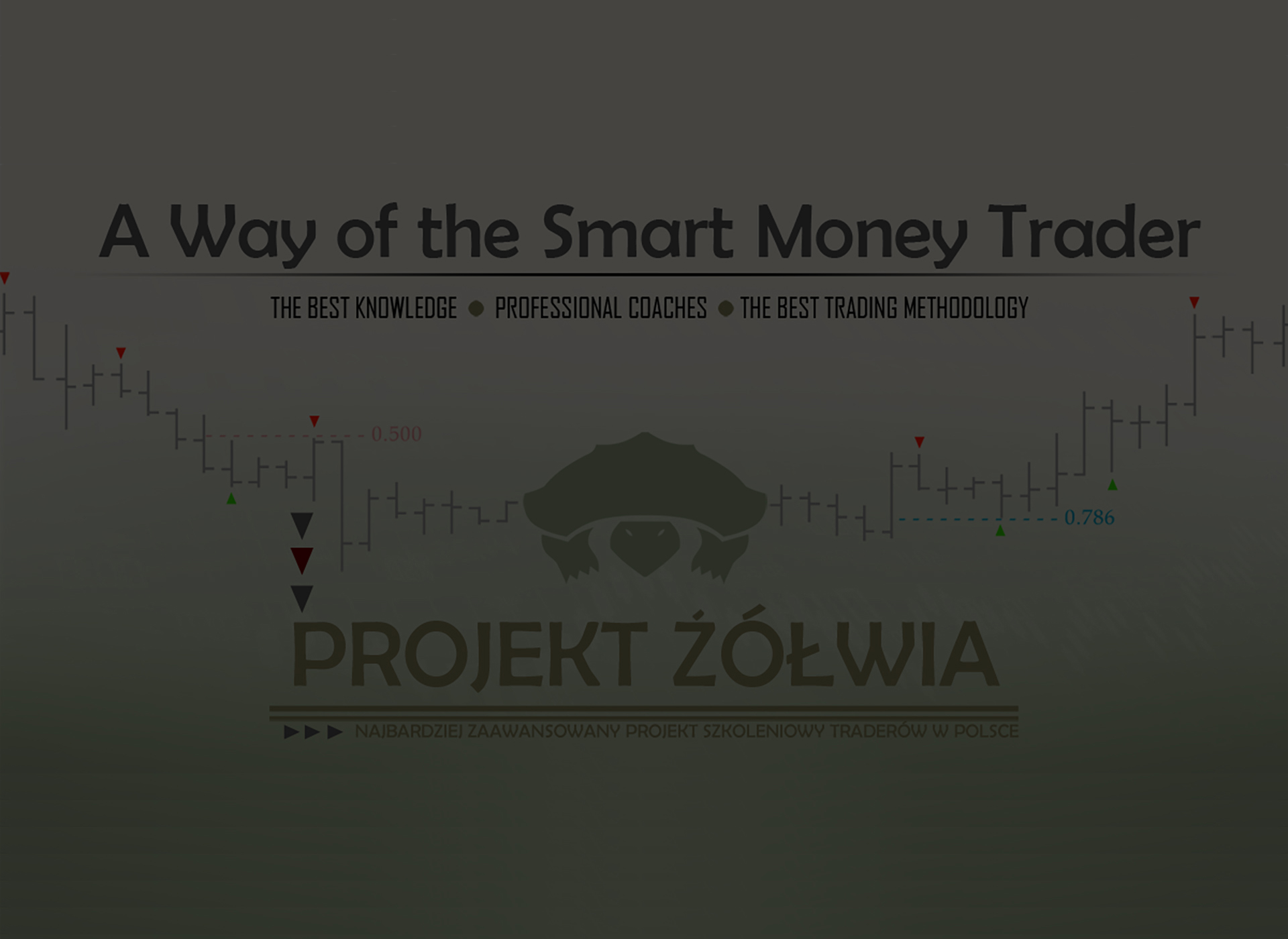Projekt Żółwia — motyw rynku i żółwia